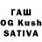 ГАШ Premium Ostap Bushastry