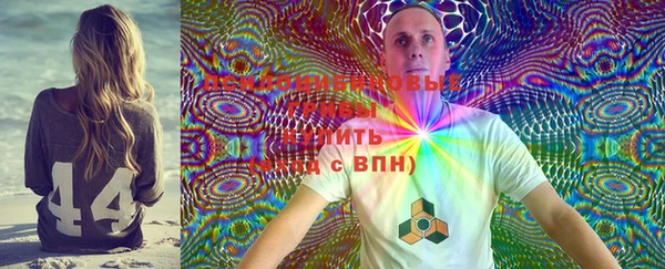 меф Козельск